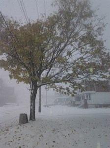 20141114_093242
