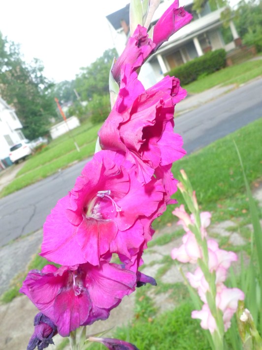 CIMG0623
